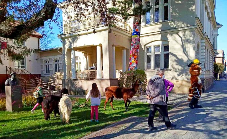  W lęborskiej bibliotece powstał klub szydełkowy dla dzieci 10+