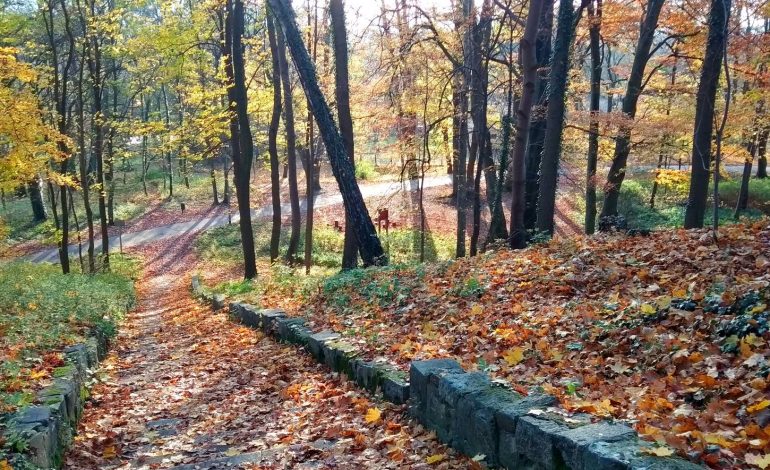 Pogoda na weekend w Lęborku. Piękna jesień w parku Chrobrego [ZDJĘCIA]