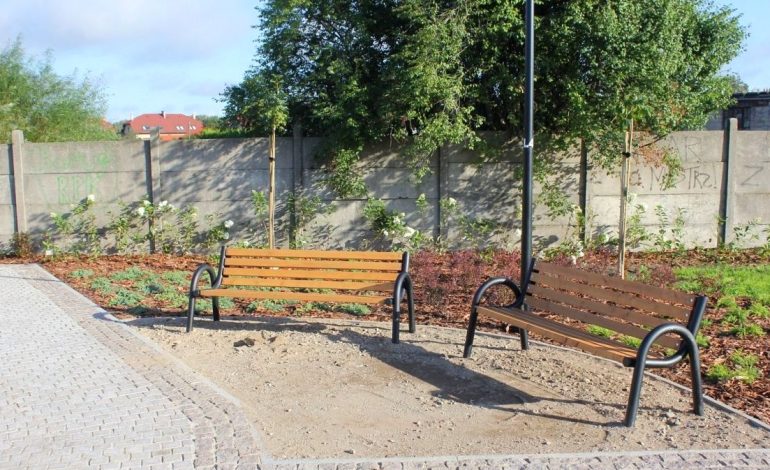 Część roślin na terenie przy ul. Malczewskiego w Lęborku została skradziona, zniszczona i zadeptana